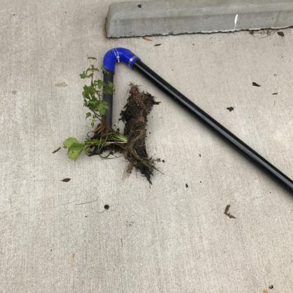 We Cleaned These 5 Commercial Building’s Gutters!
